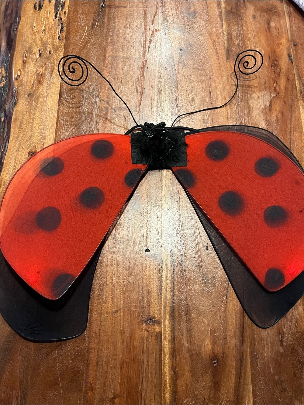 Red Ladybug Kids costume accessory wings